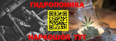 кокс Кингисепп
