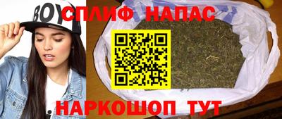 кокс Кингисепп
