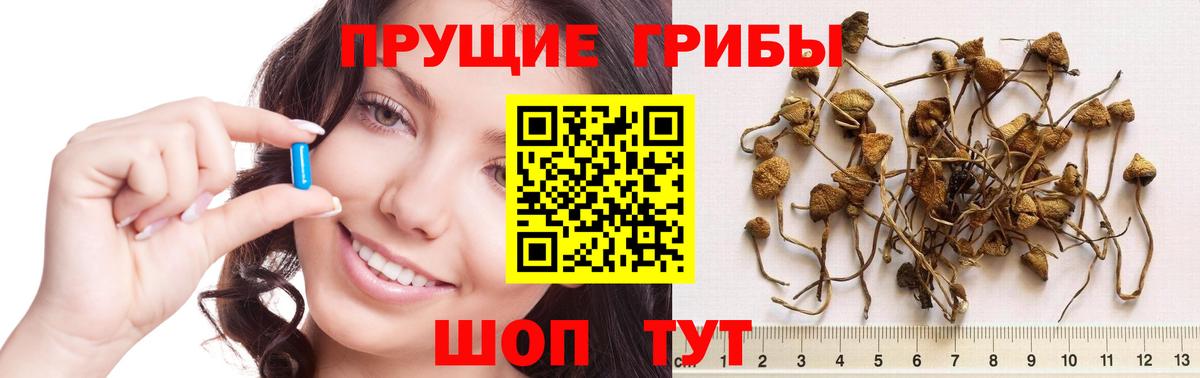 Псилоцибиновые грибы ЛСД  Вход с VPN  Галлюциногенные грибы Psilocybe  Елец 